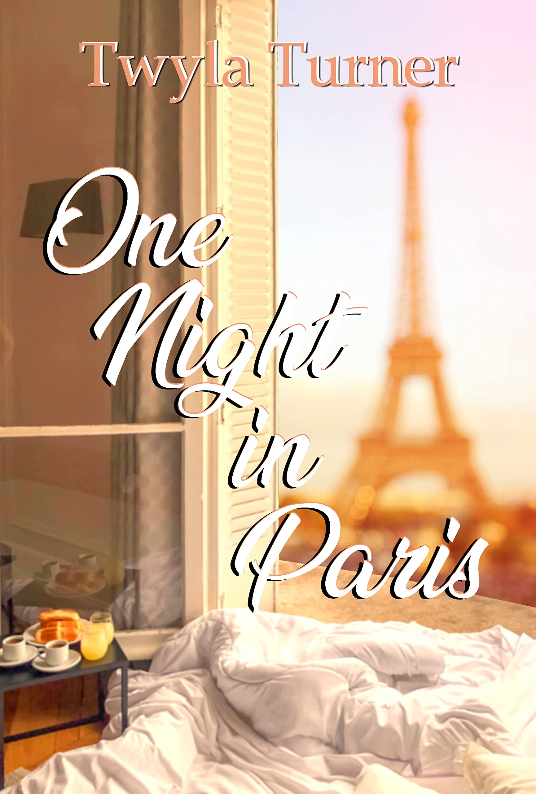 One Night in Paris book cover