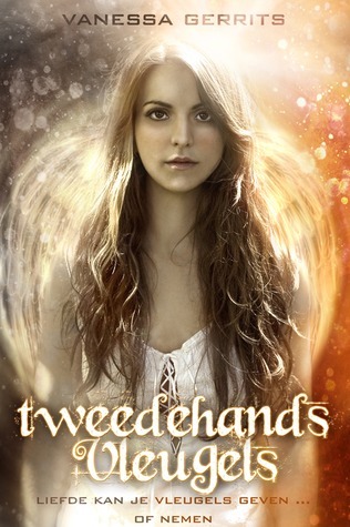 Vleugels Trilogie book cover 1