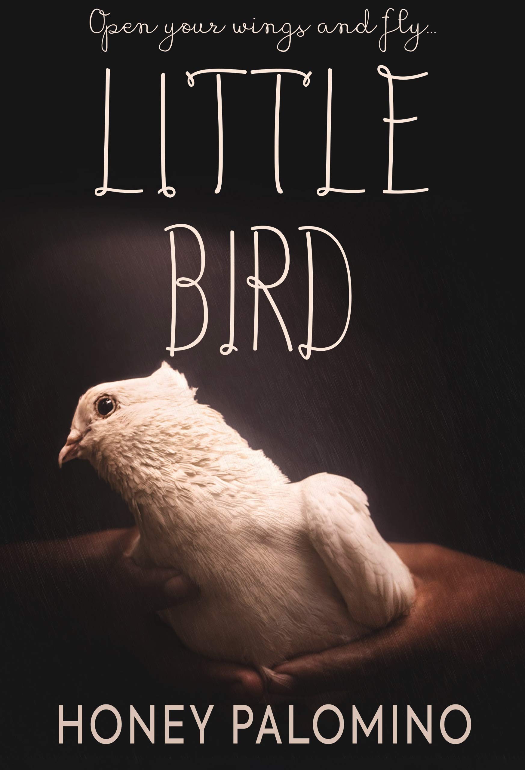 Little Bird book cover