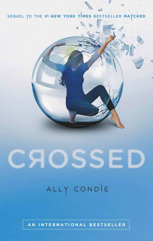 Matched book cover 2
