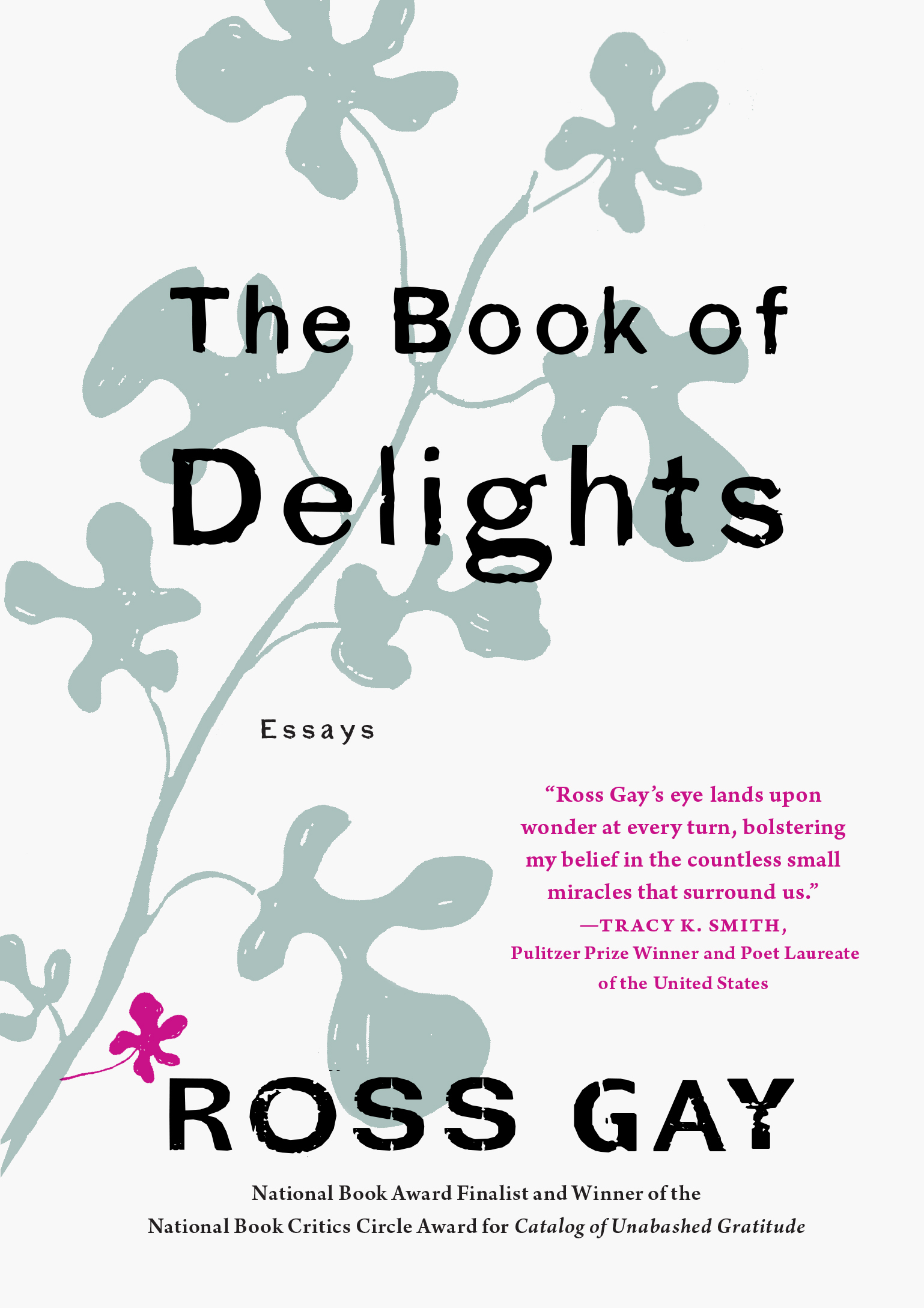 The Book of Delights book cover