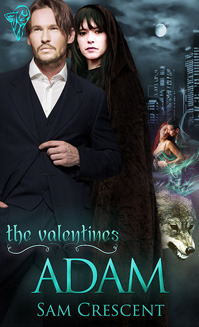 The Valentines book cover 3