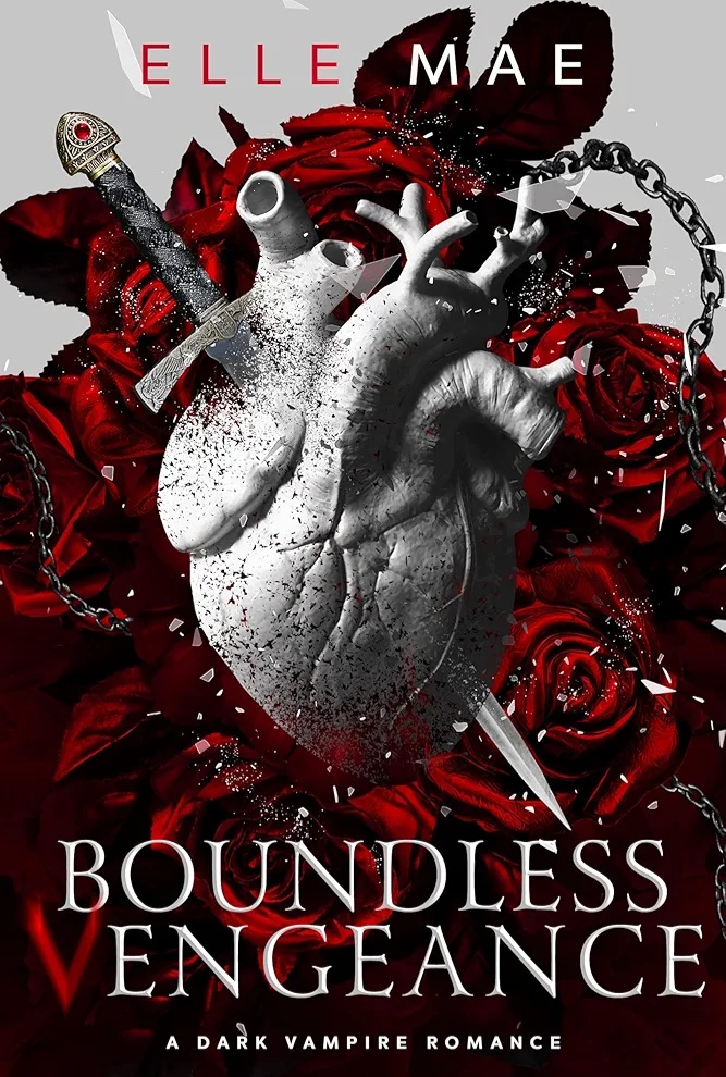 Boundless Vengeance book cover
