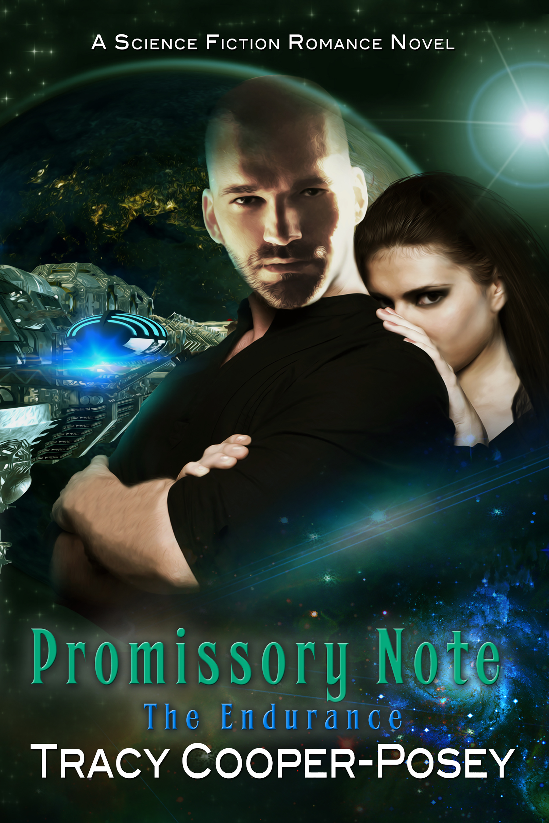 The Endurance book cover 3