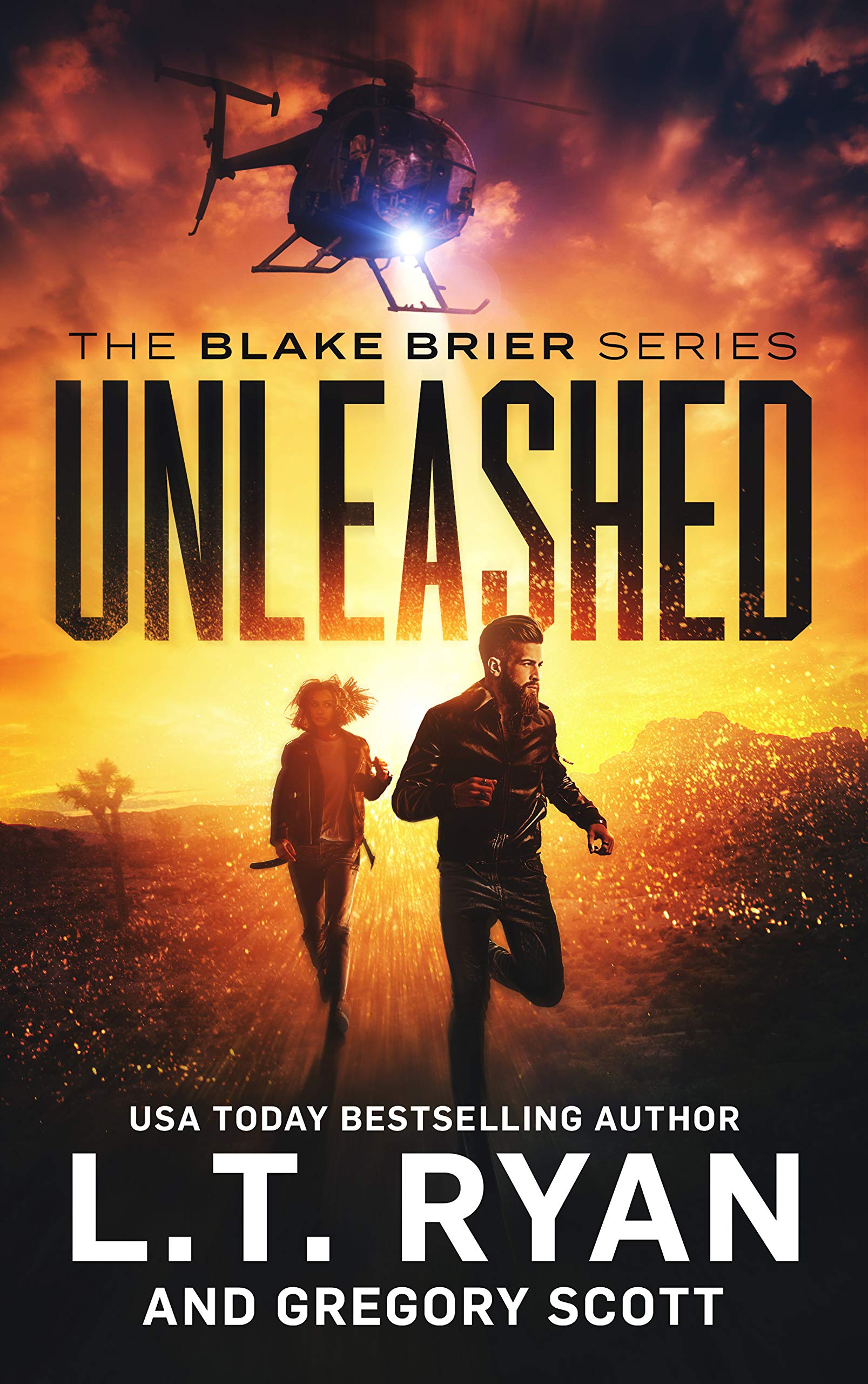 Blake Brier book cover 2