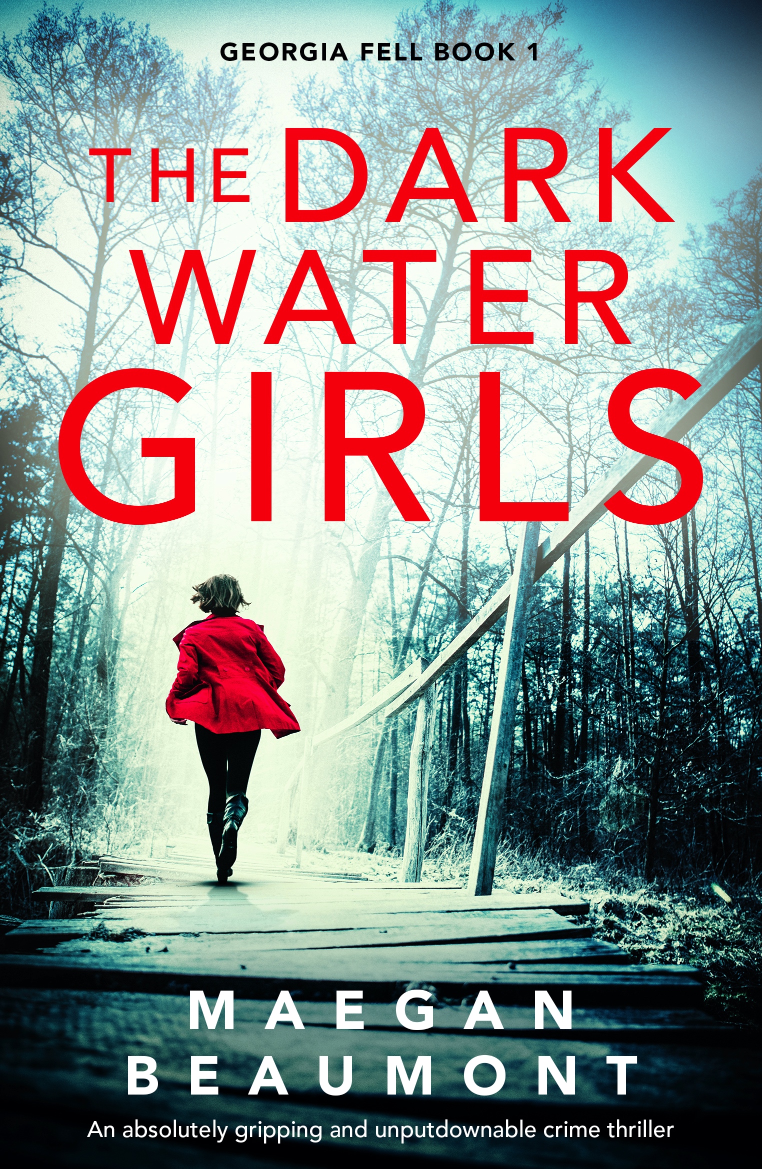 Georgia Fell book cover 1