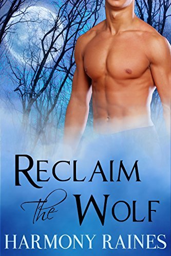 Wolf Valley Raiders book cover 3