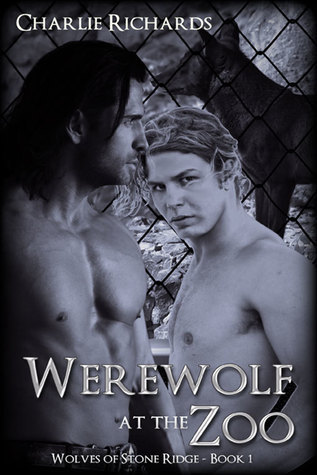 Stone Ridge Universe book cover 1