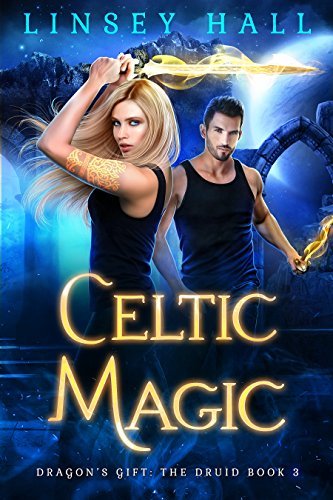 Dragon's Gift: The Druid book cover 3