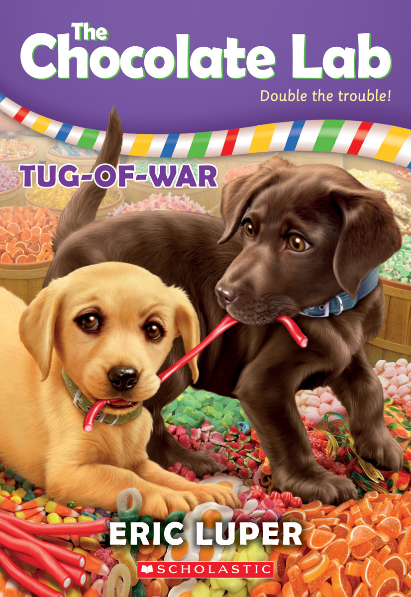 Chocolate Lab book cover 2