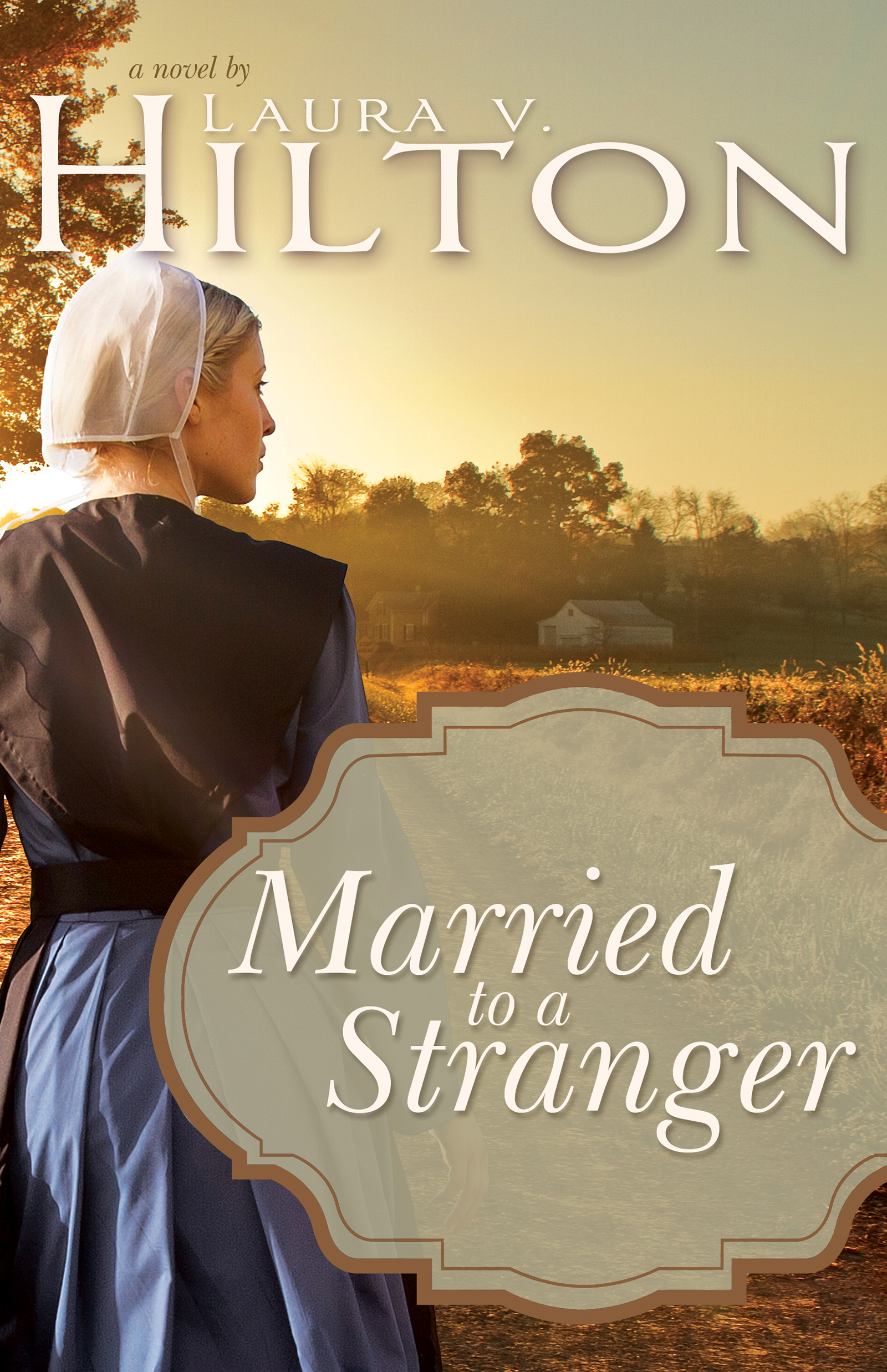 Married to a Stranger book cover