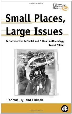 Small Places, Large Issues book cover