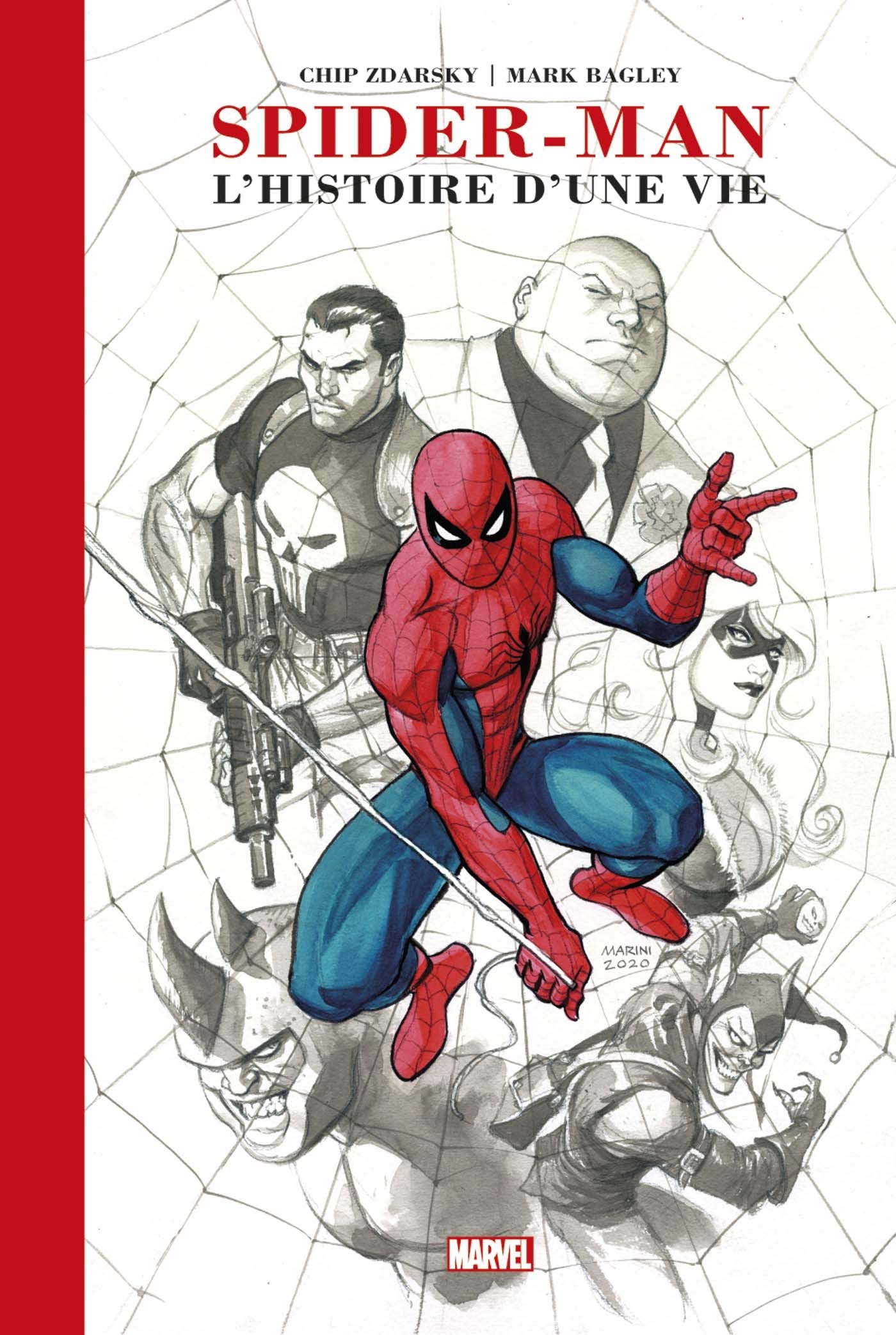 Spider-Man book cover