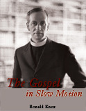 The Gospel in Slow Motion book cover