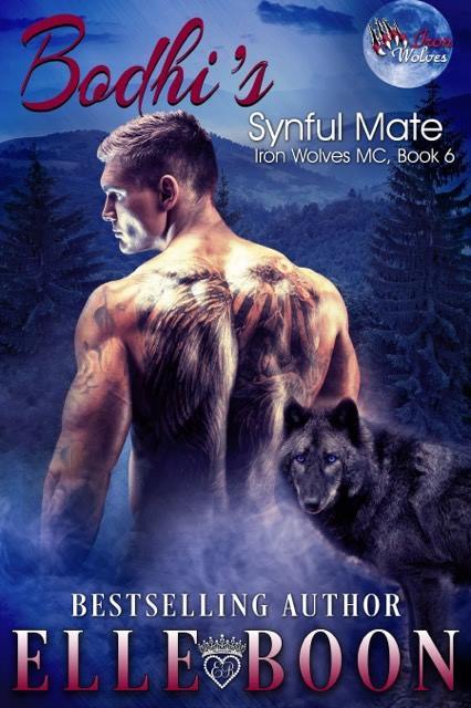 Bodhi's Synful Mate book cover