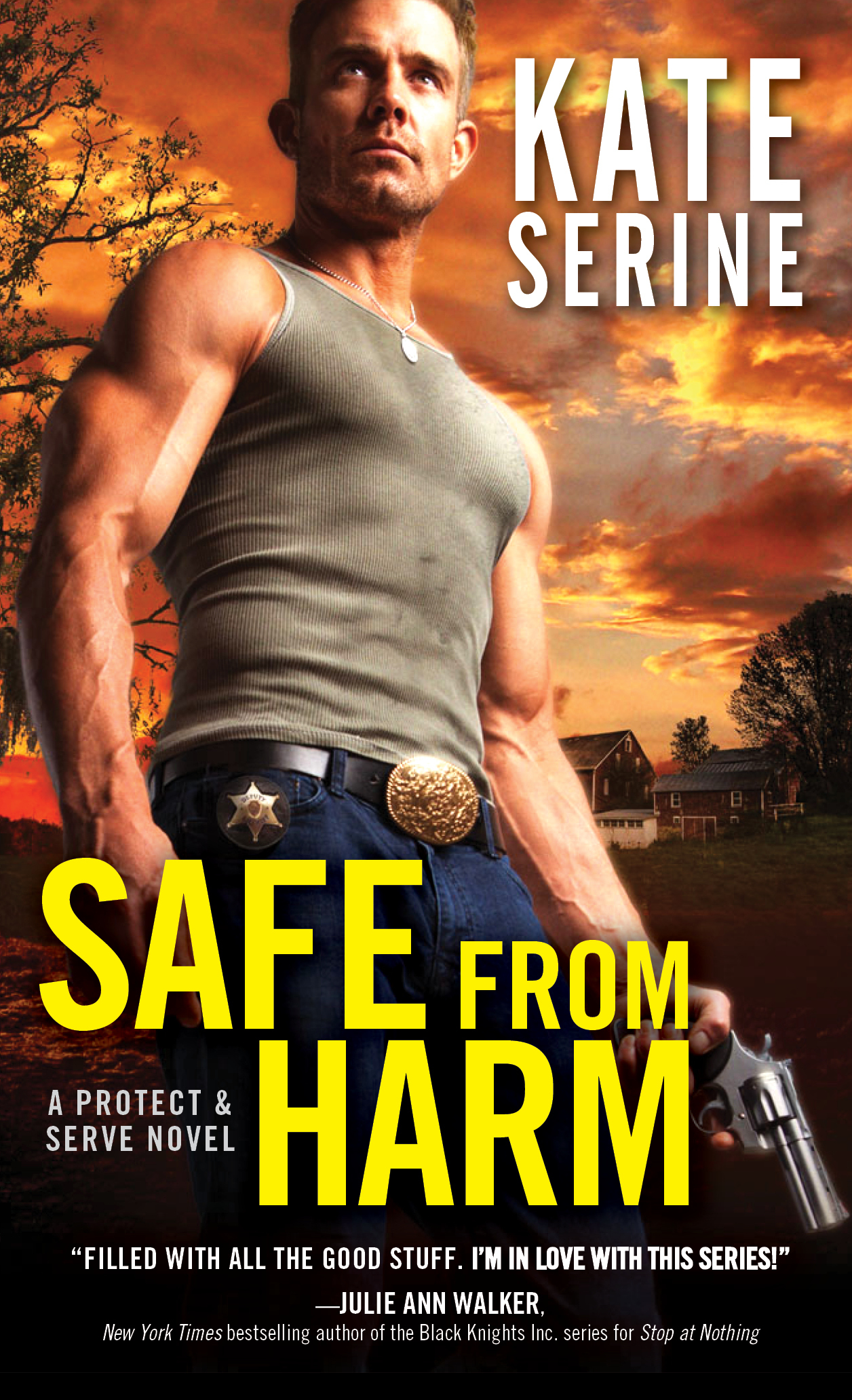 Protect & Serve book cover 3