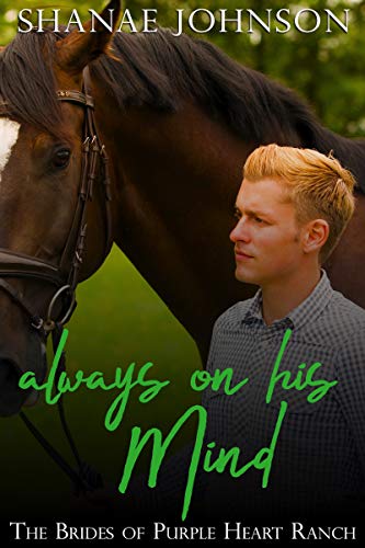 The Soldiers of Purple Heart Ranch book cover 2