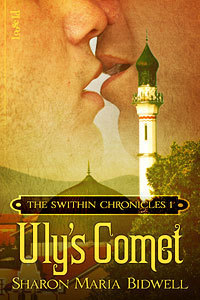 The Swithin Chronicles book cover 1