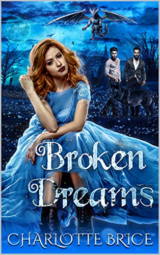 Broken Promises book cover 1