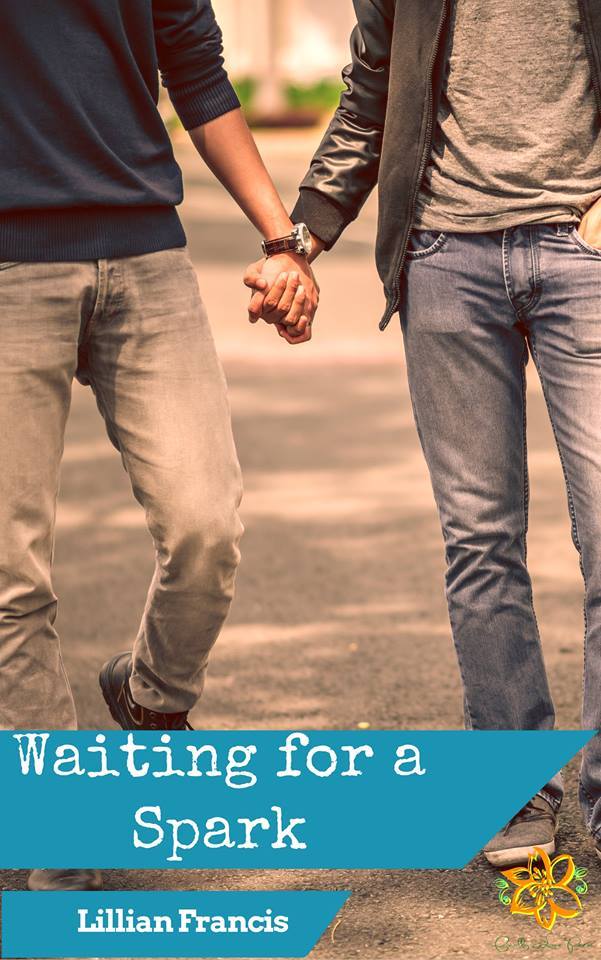 Waiting for a Spark book cover