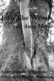 Into the Woods book cover