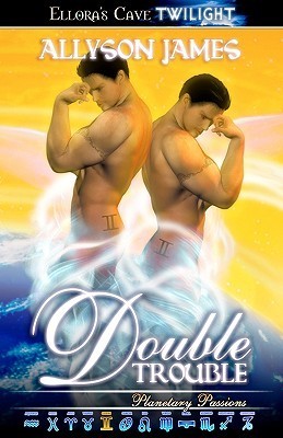 Double Trouble book cover