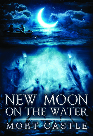 New Moon on the Water book cover