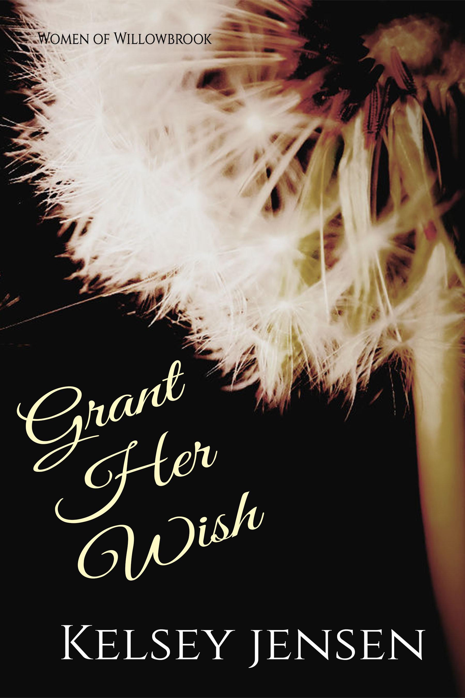 Grant Her Wish book cover