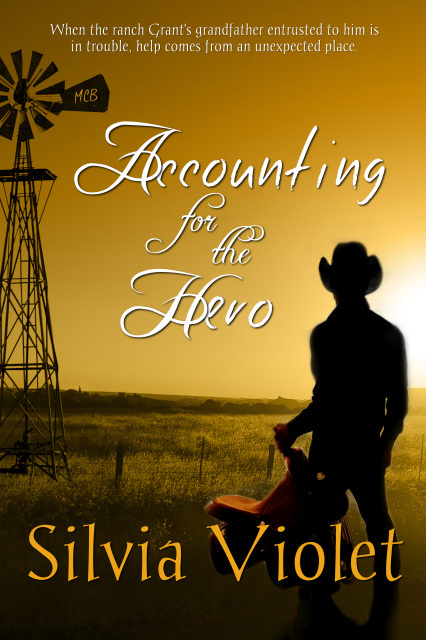 Accounting for the Hero book cover