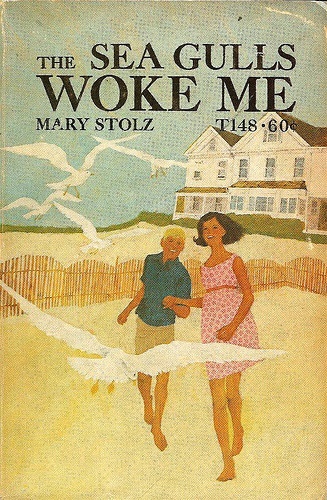 The Sea Gulls Woke Me book cover