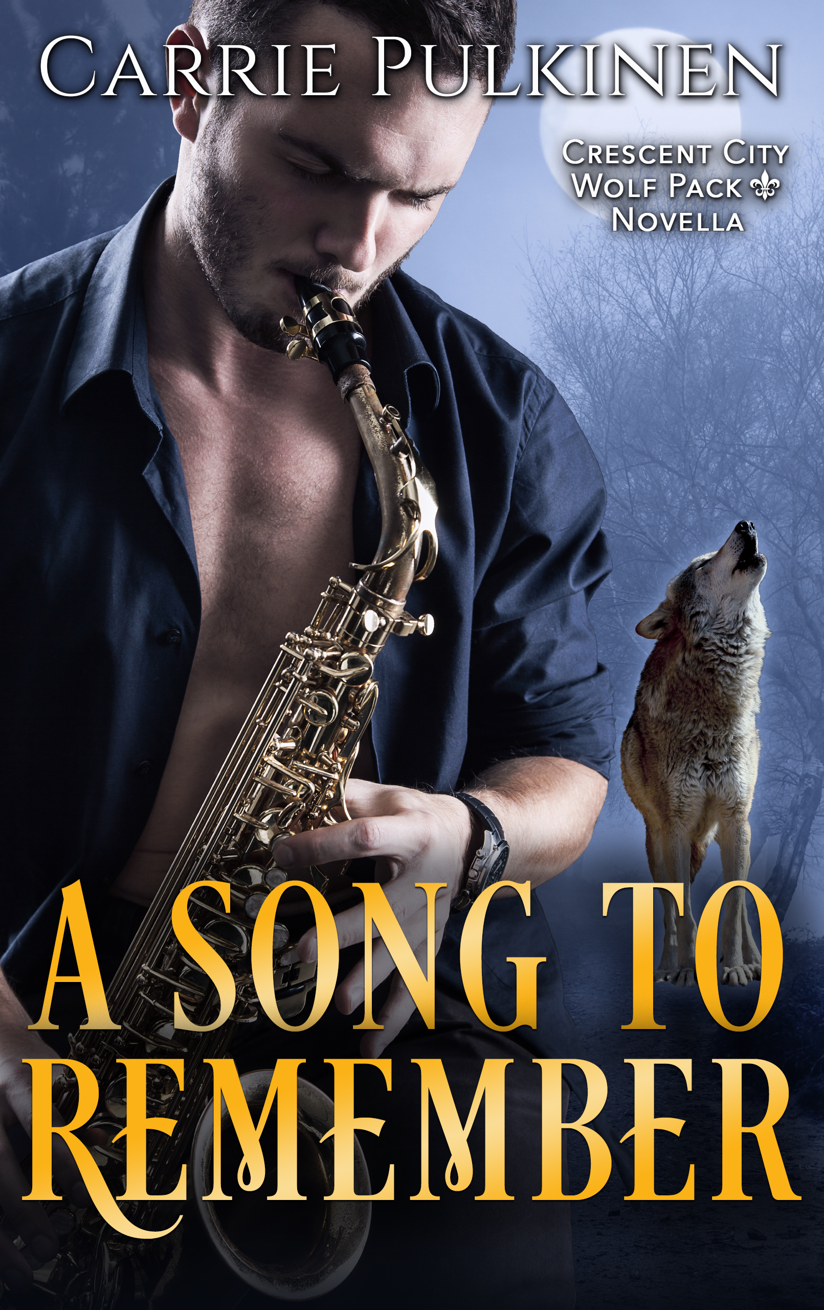 A Song to Remember book cover