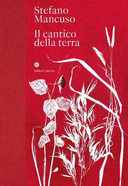Il cantico della terra book cover