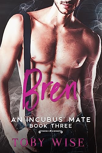 An Incubus' Mate book cover 1