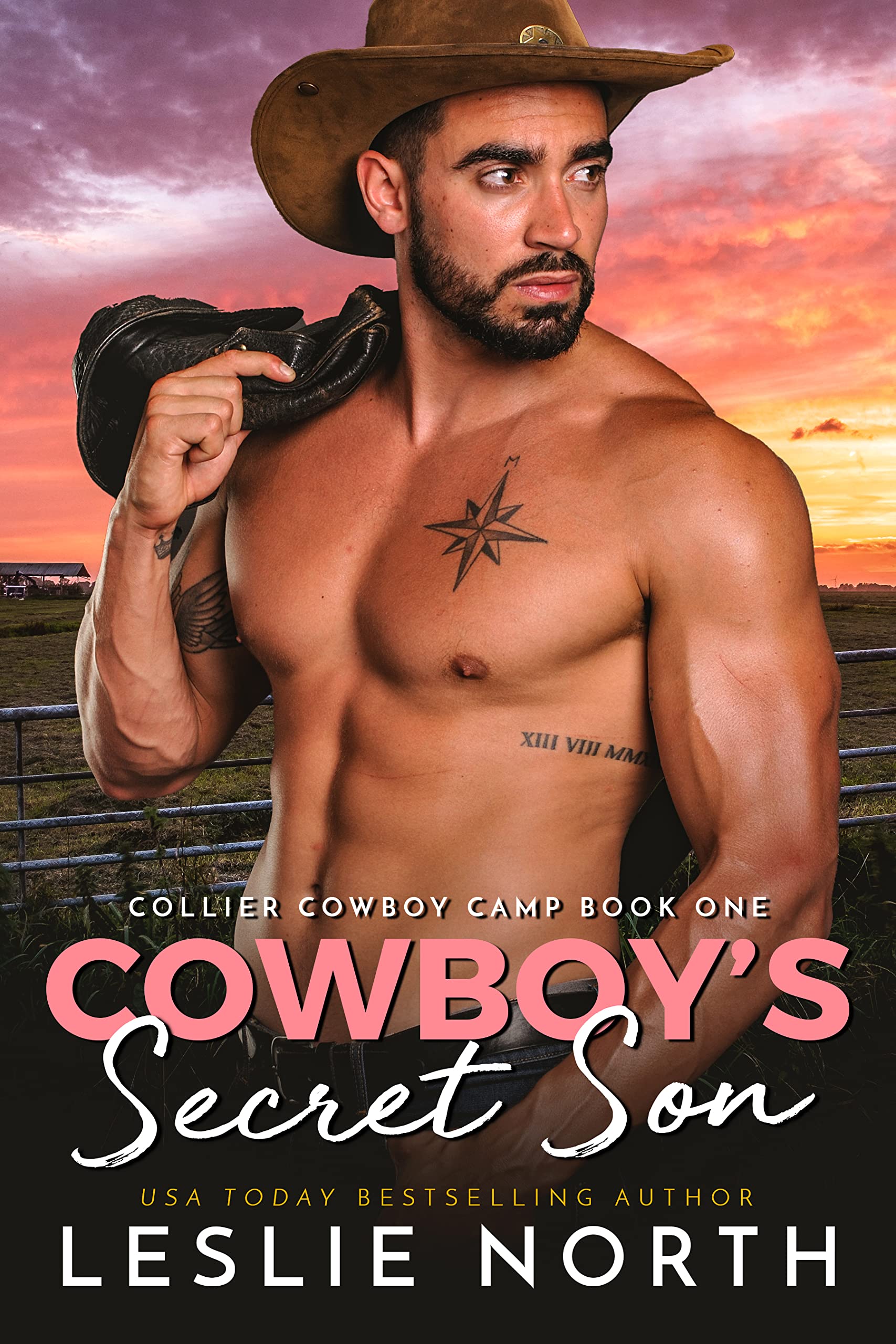 Cowboy's Secret Son book cover