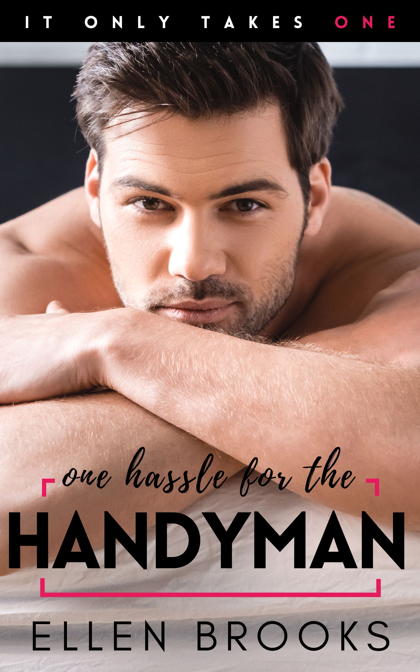 One Hassle for the Handyman book cover
