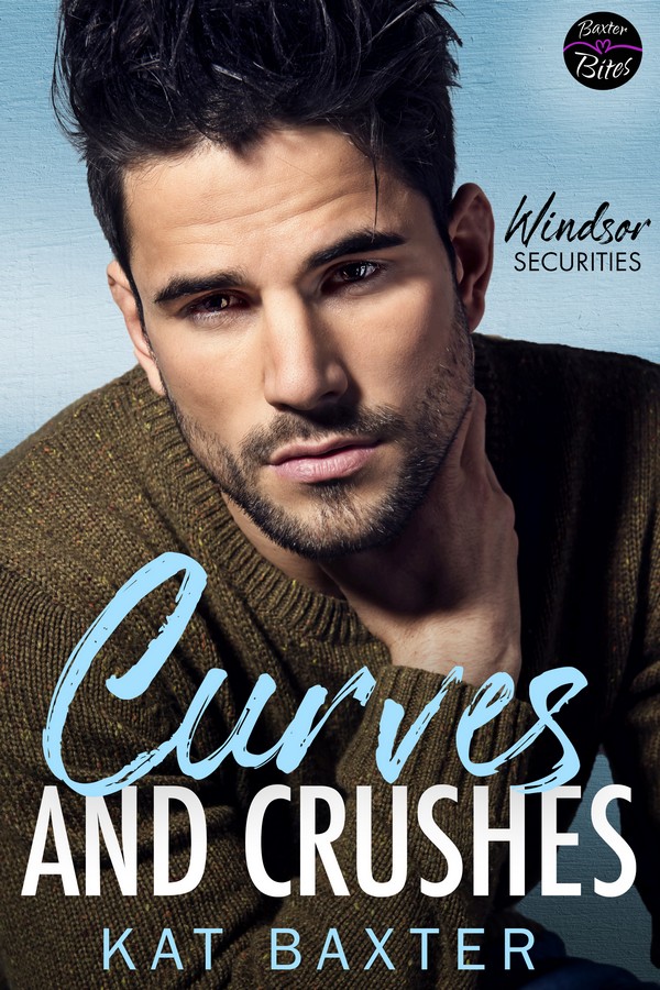 Windsor Securities book cover 3