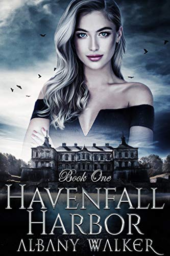 Havenfall book cover 1