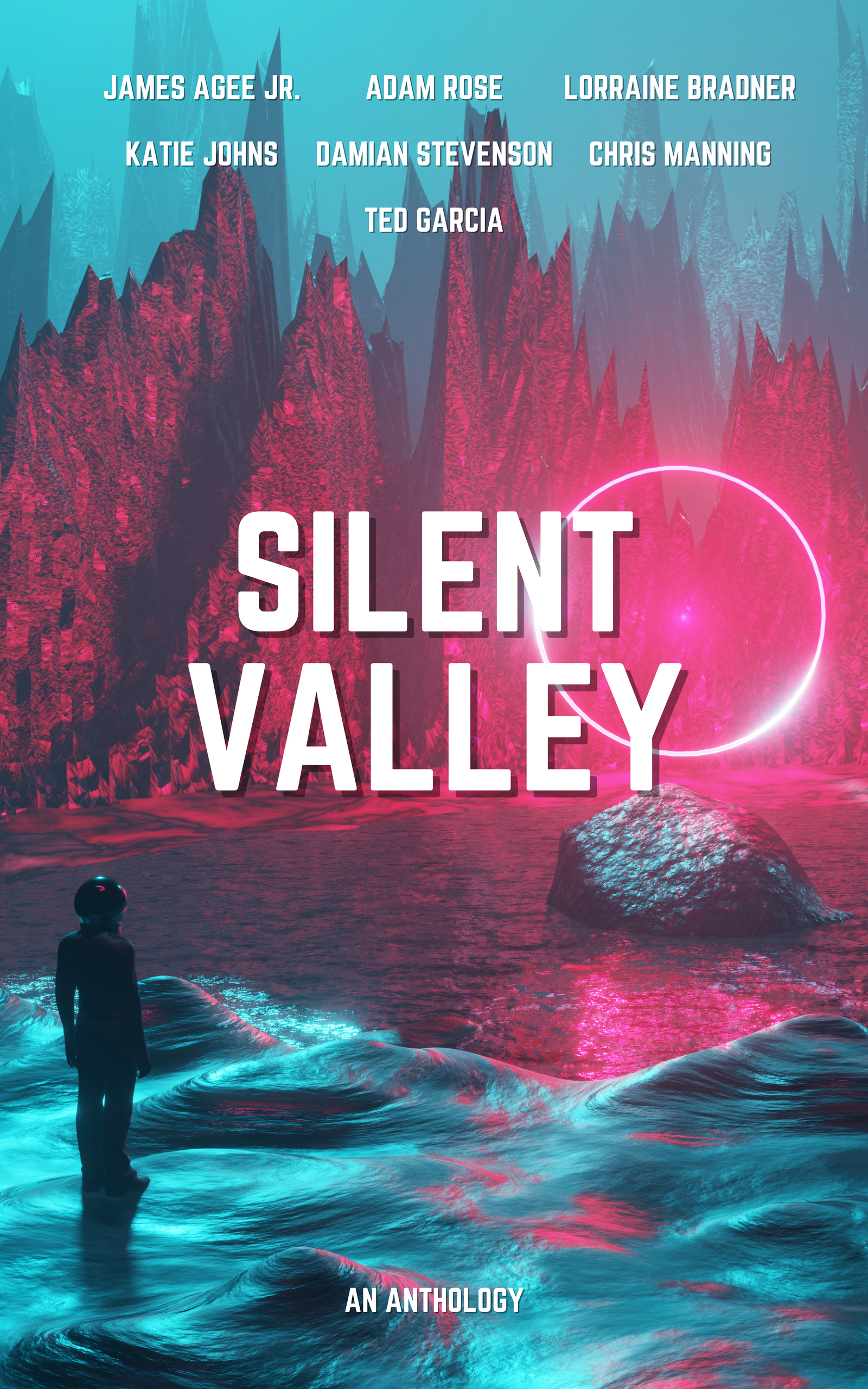 Silent Valley book cover