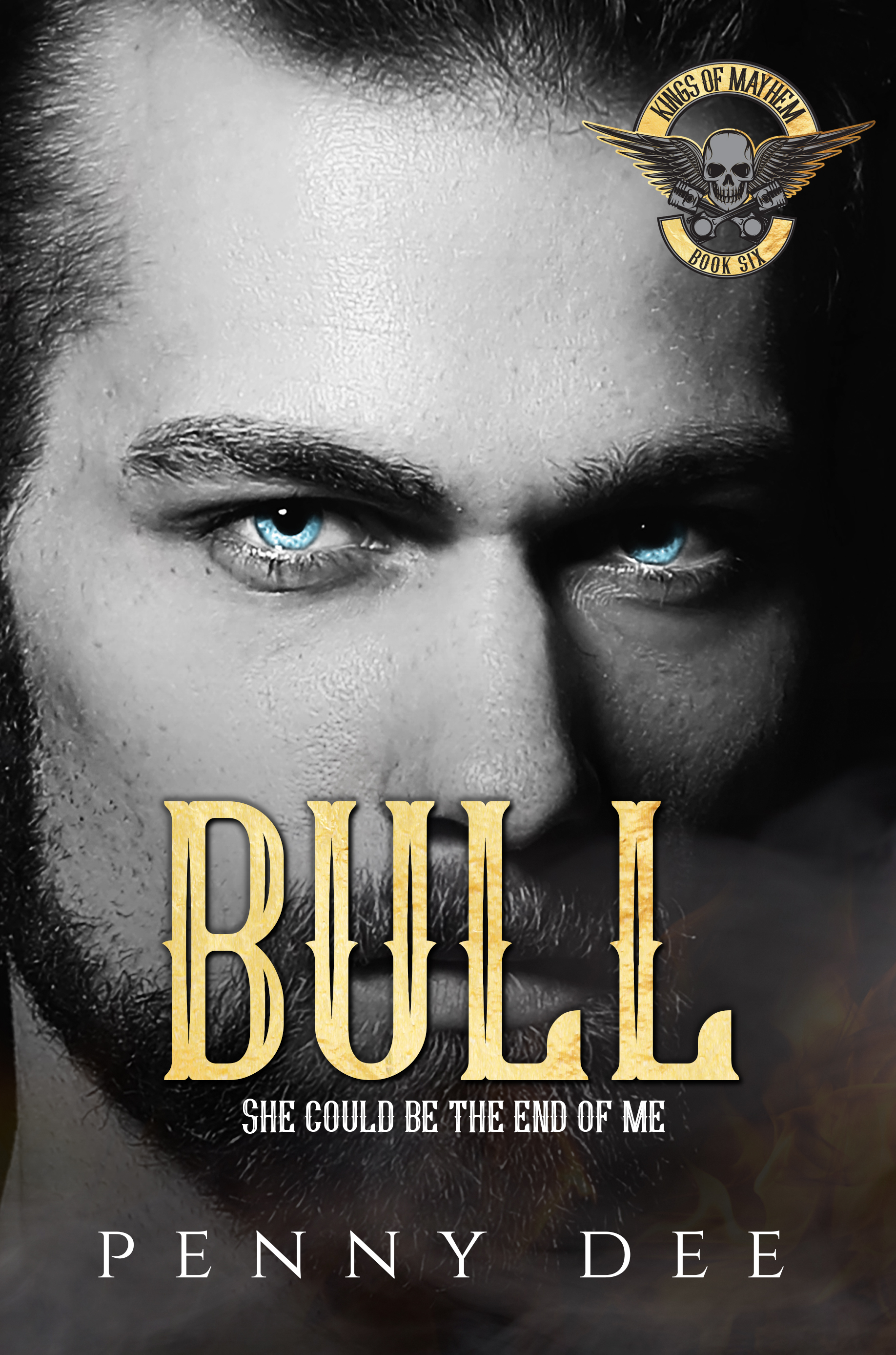 Bull book cover