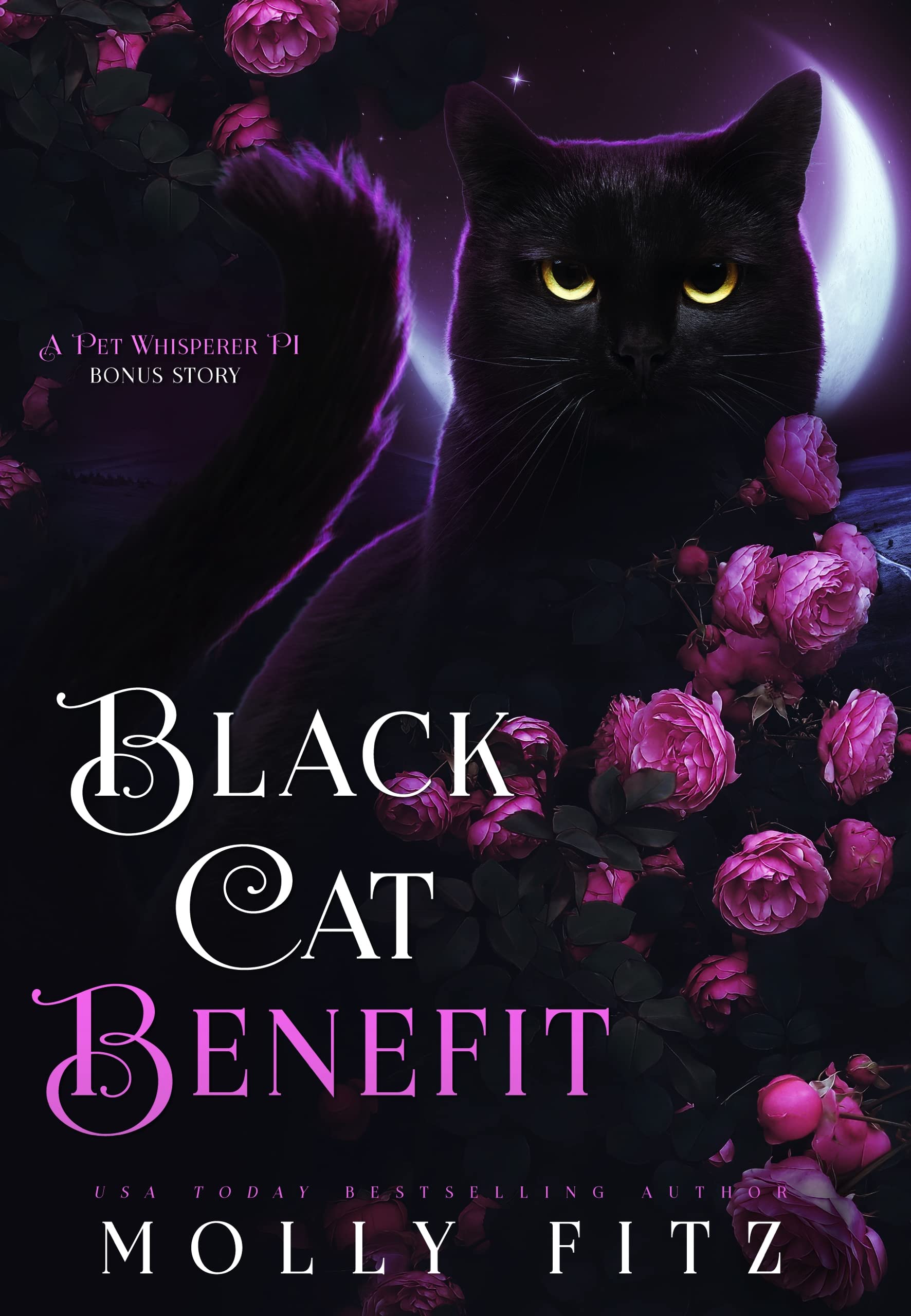 Black Cat Benefit book cover