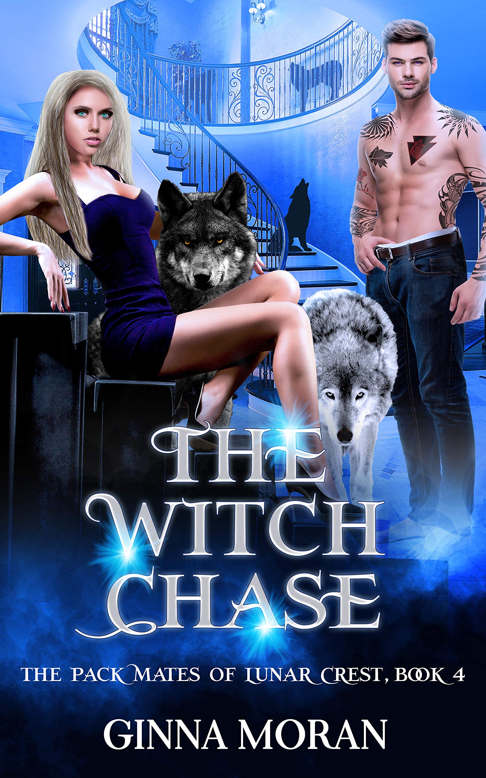 The Witch Chase book cover