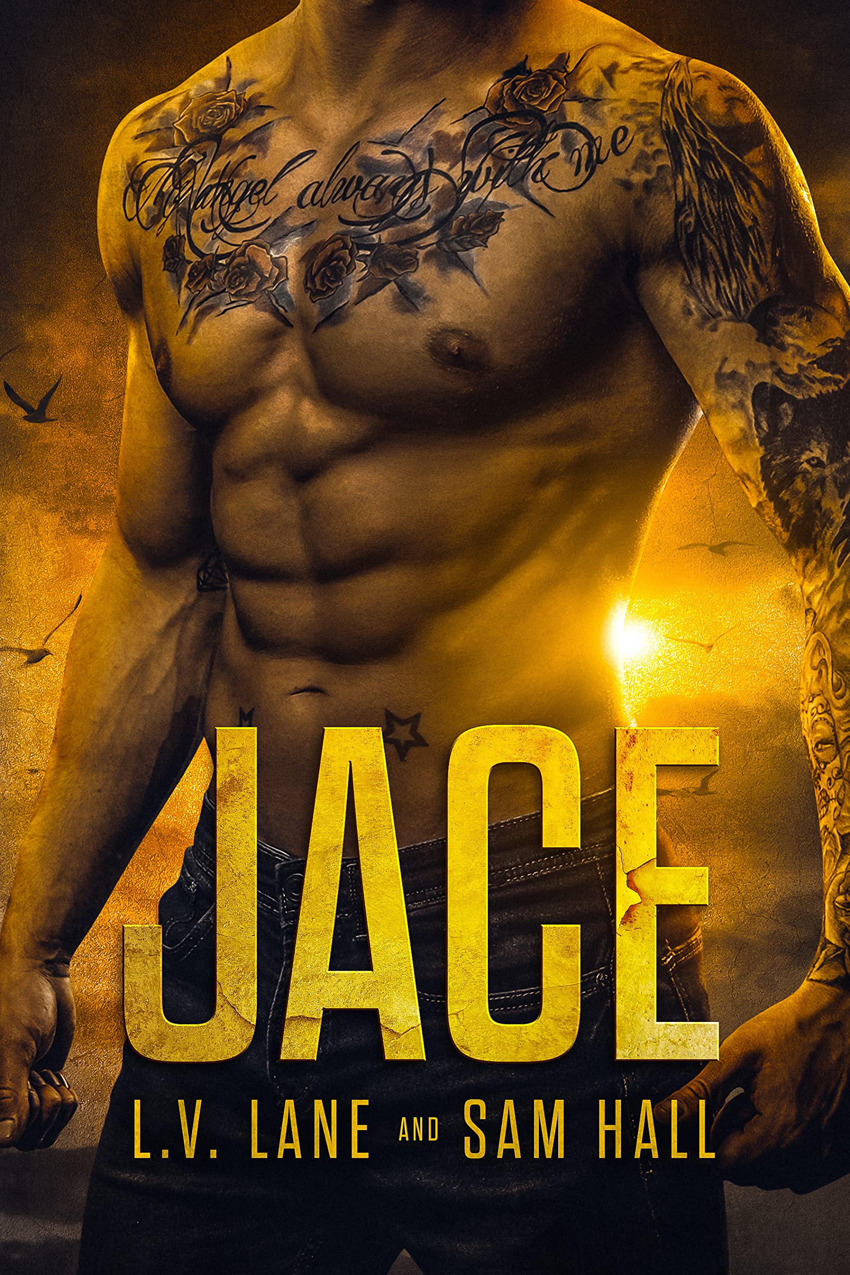 Jace book cover