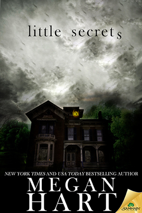 Little Secrets book cover