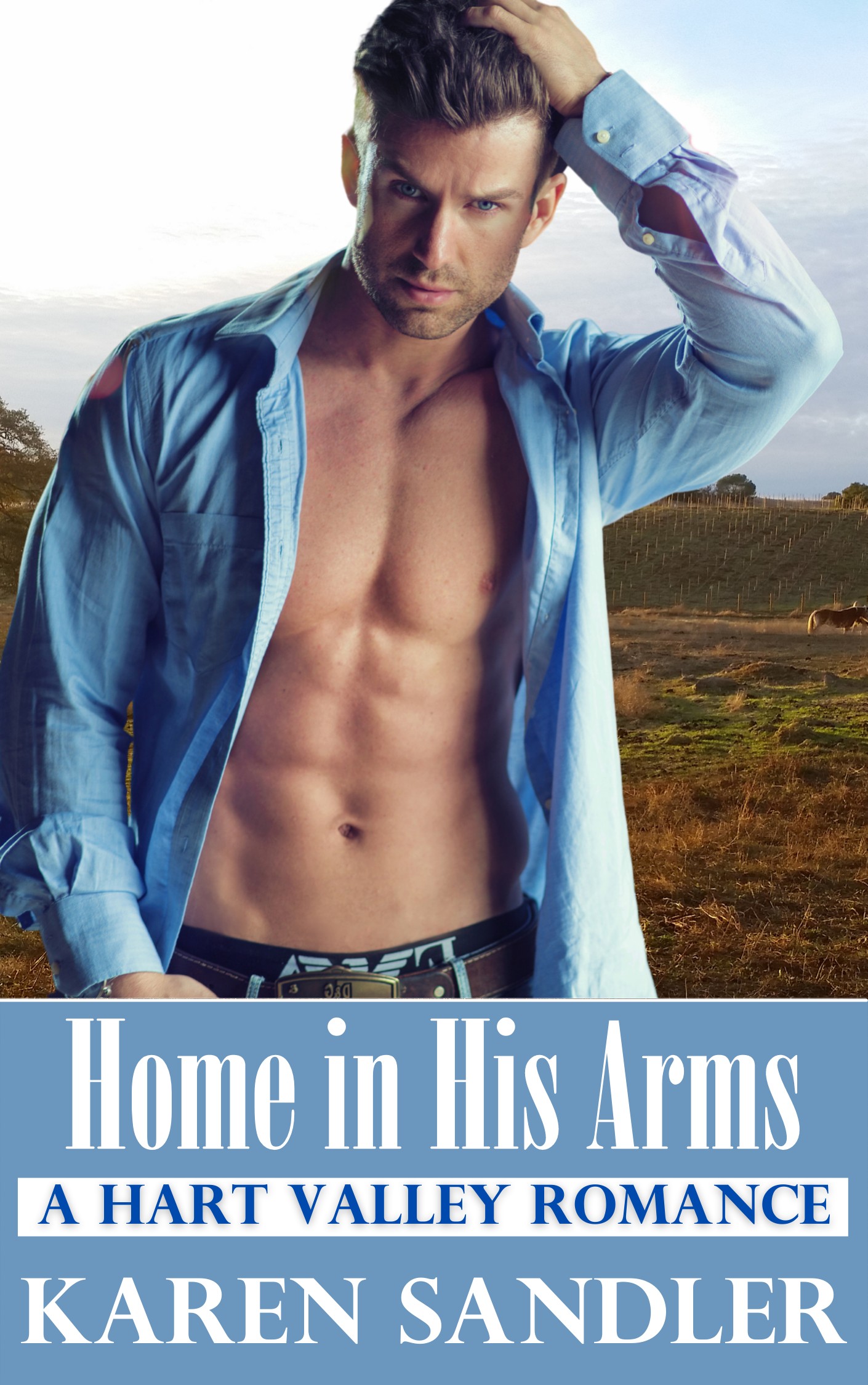 Home in His Arms book cover