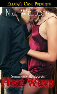 Summersville Secrets book cover 2