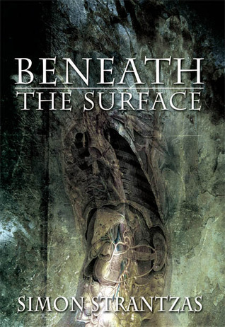 Beneath the Surface book cover