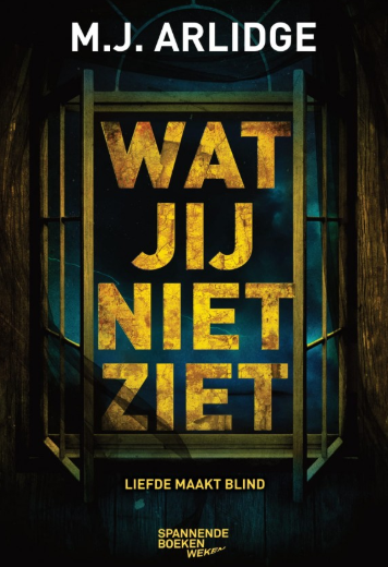 Wat jij niet ziet book cover