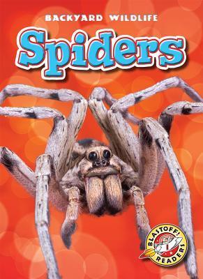 Spiders (Blastoff Readers. Level 1) book cover