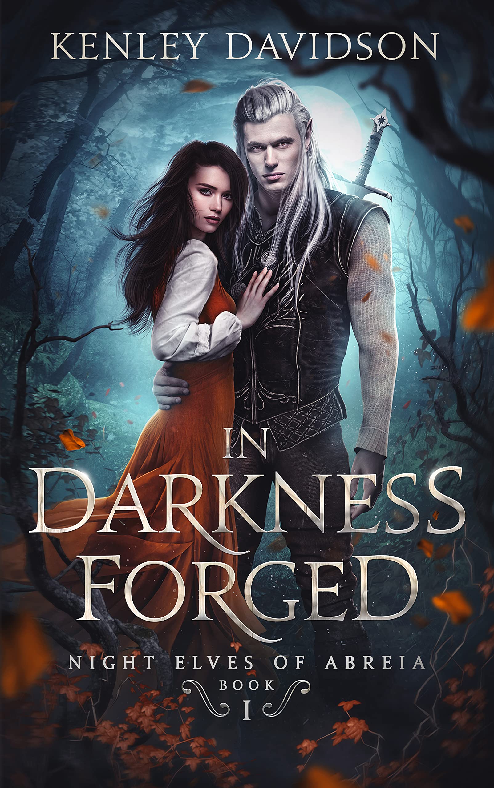 Night Elves of Abreia book cover 1