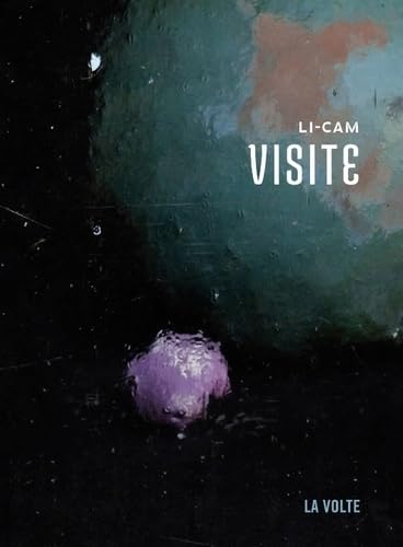 Visite book cover